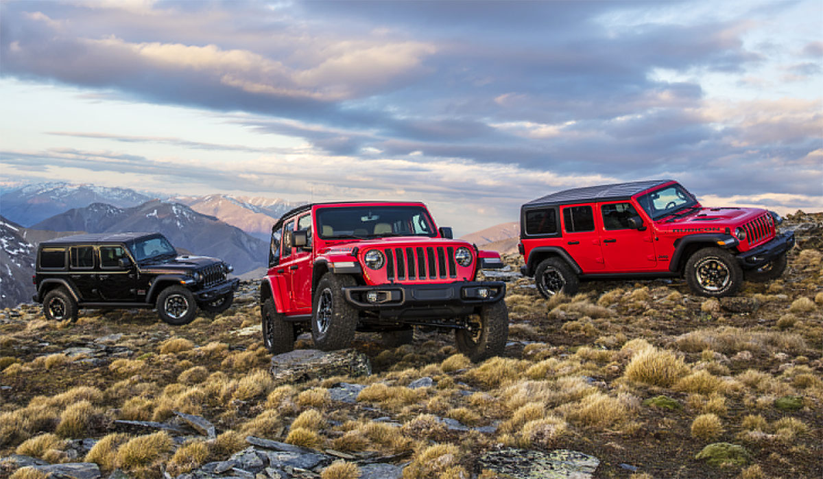 gama wrangler