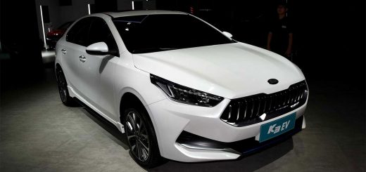 cerato