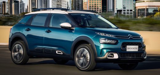 cactus c4