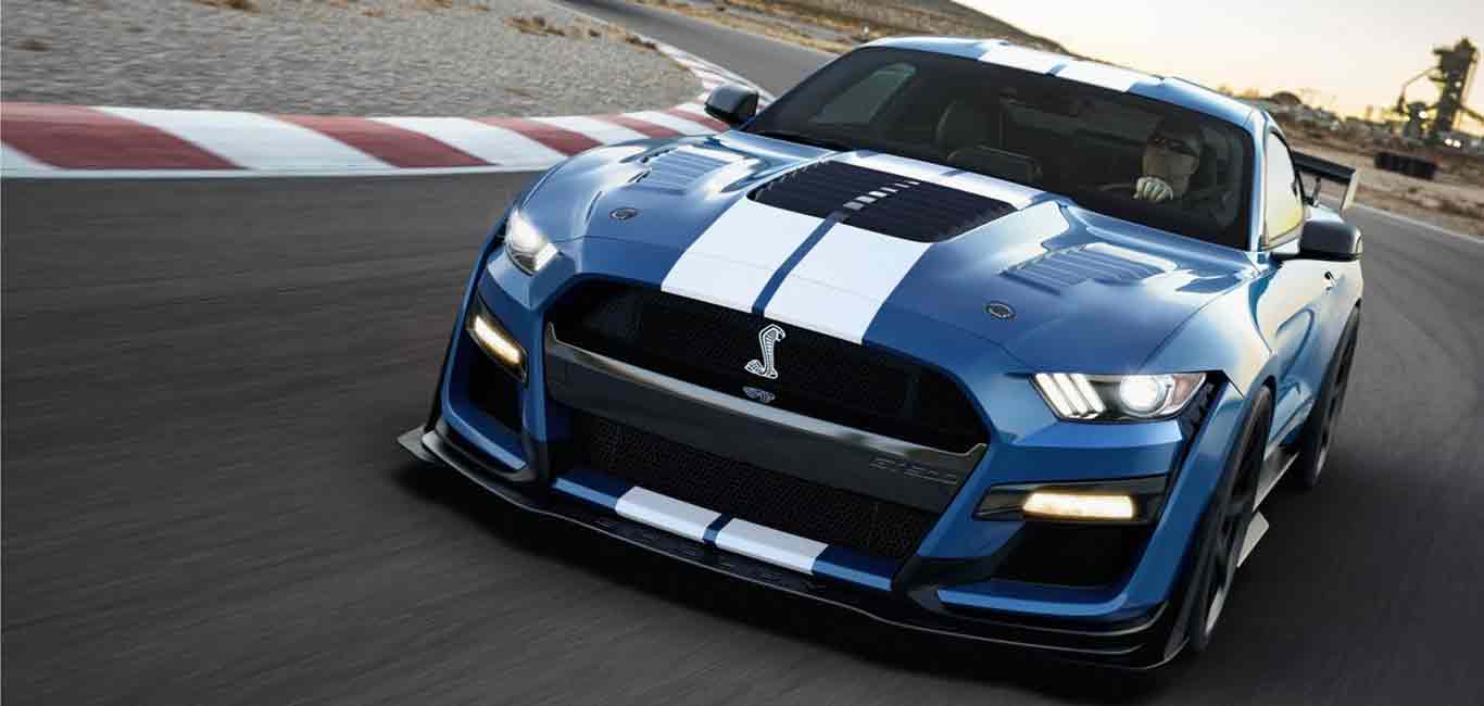 shelby