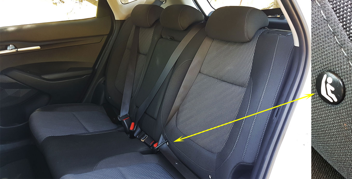 seguridad seltos