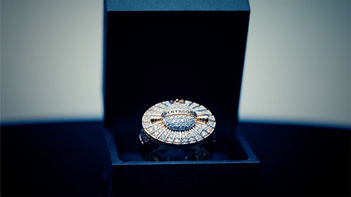 anillo