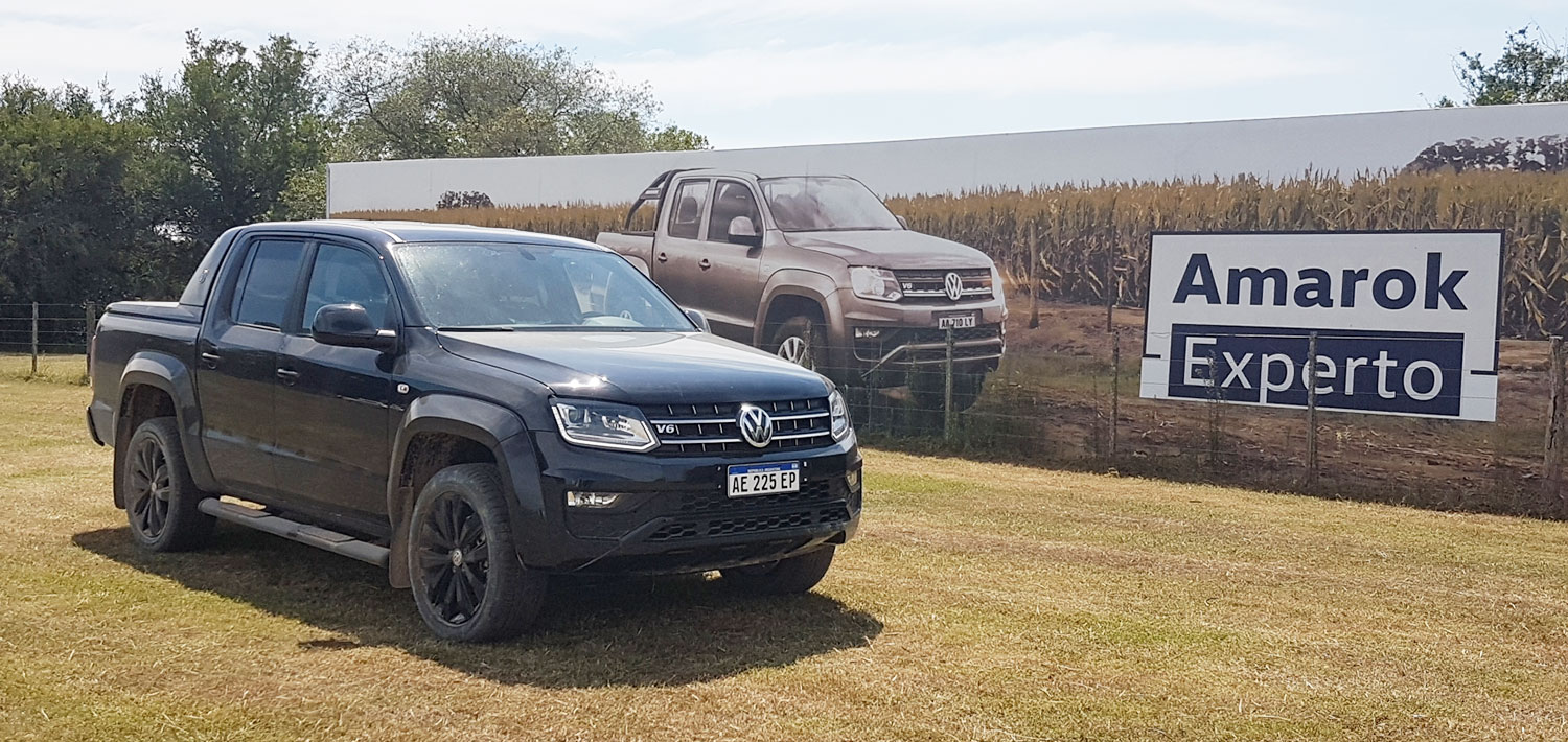 amarok experto