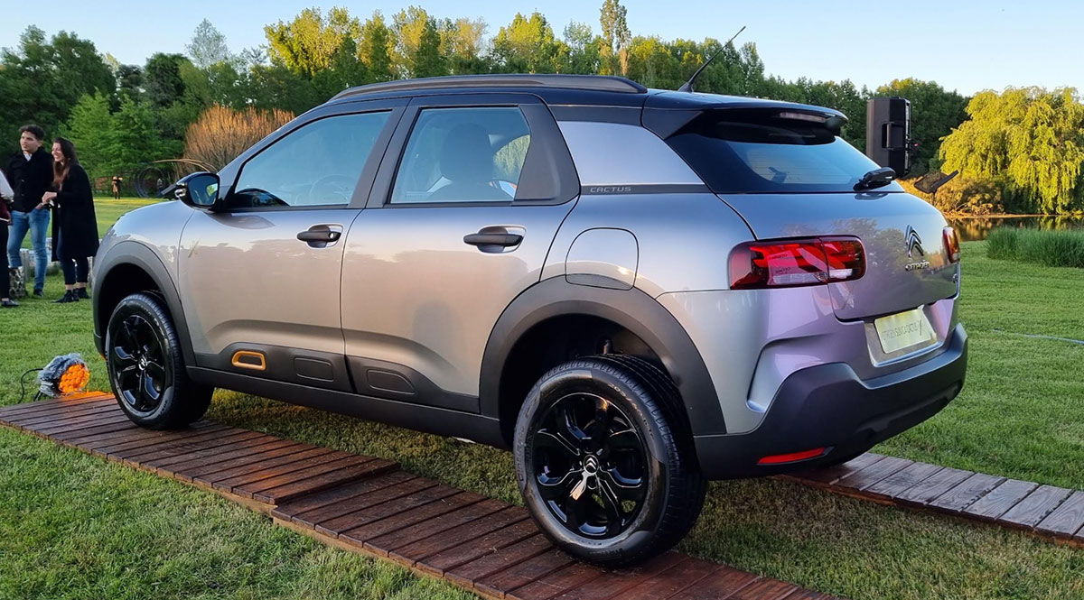 c4 cactus