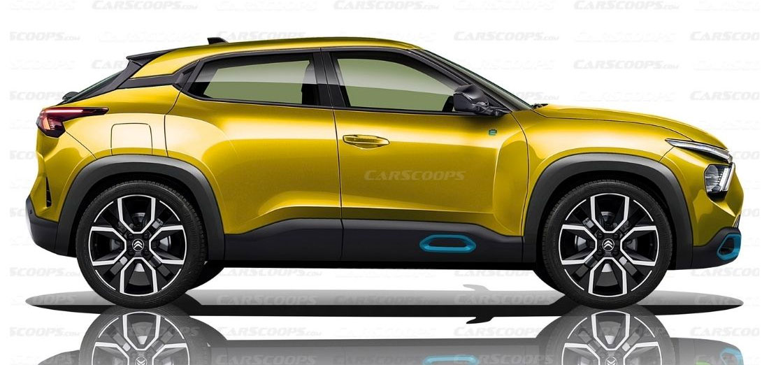 c4 cactus