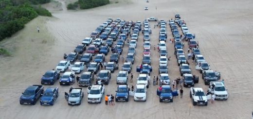 ford raza fuerte
