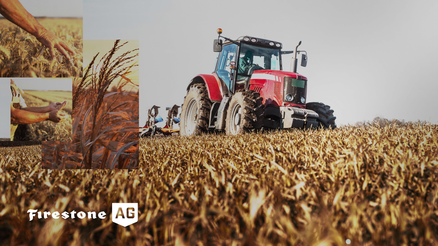 Firestone Expoagro 2024