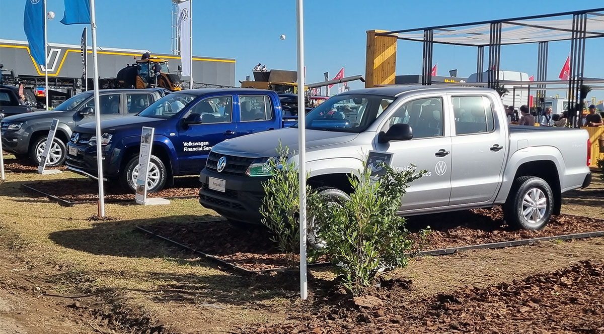 amarok