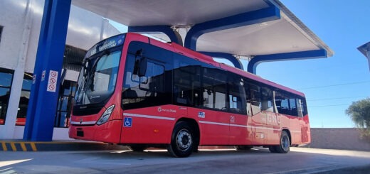 bus scania gnc