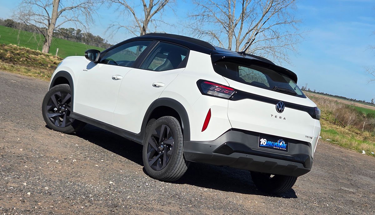 vw tera