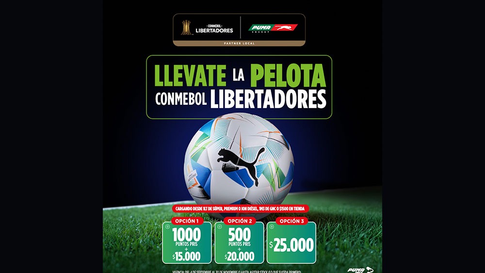 libertadores puma