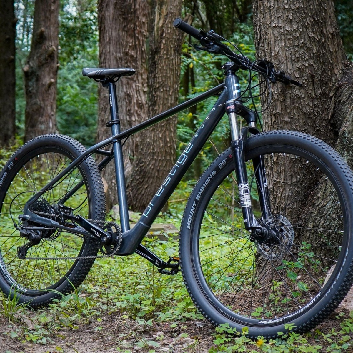 Prestige E-Bike