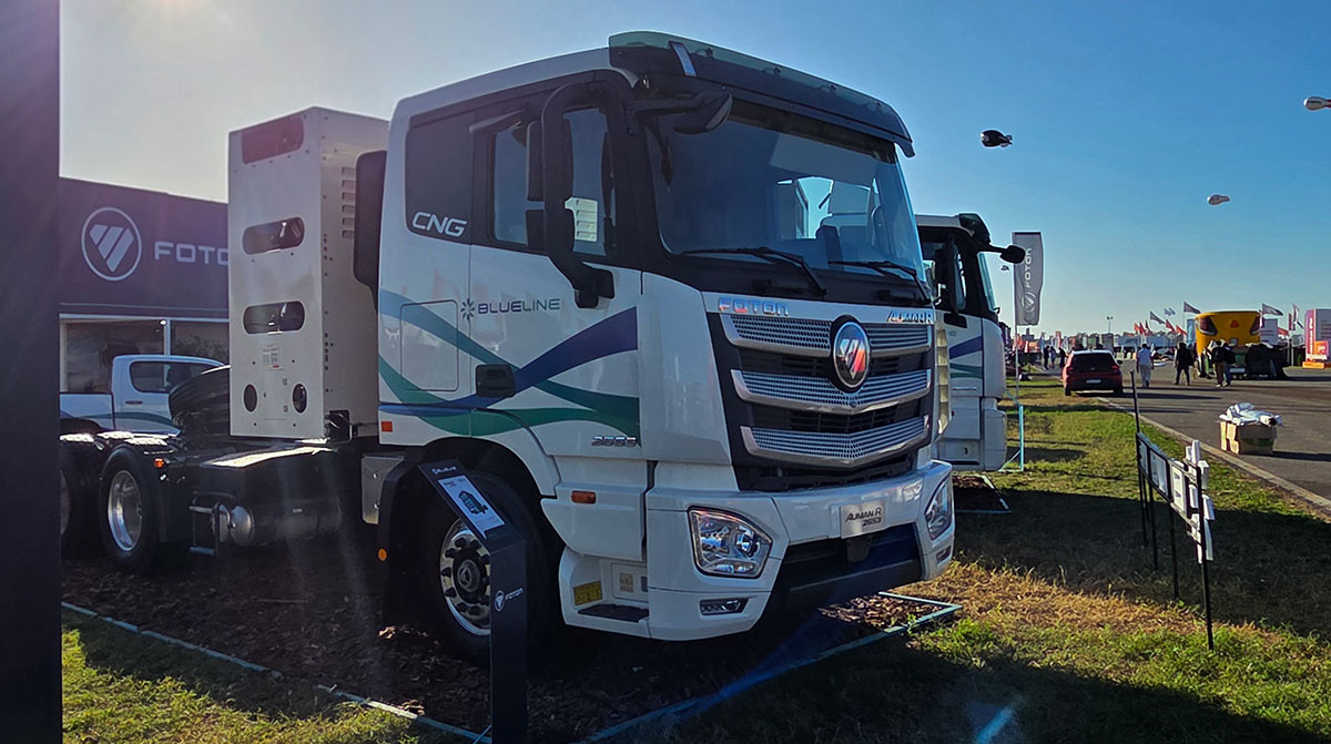 pesado blueline