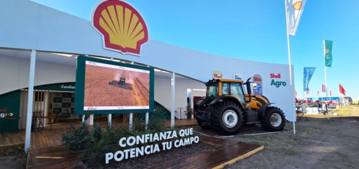 shell agro