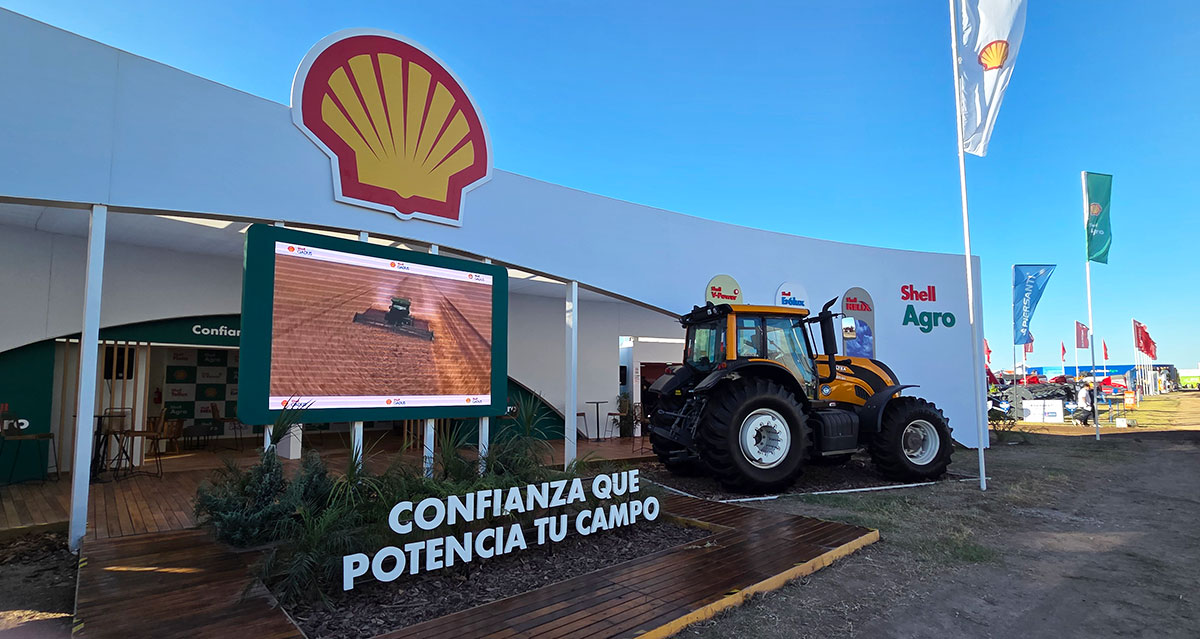shell confianza