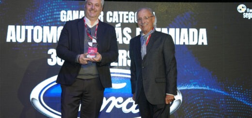 ford cesvi