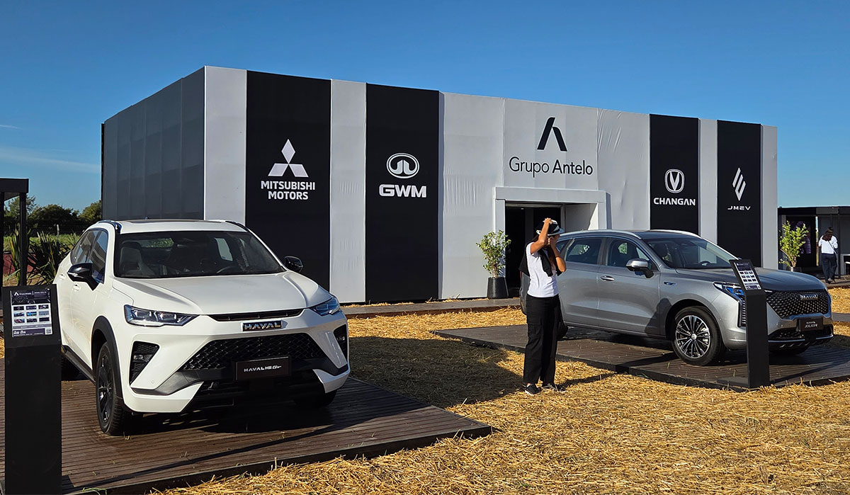 grupo antelo
