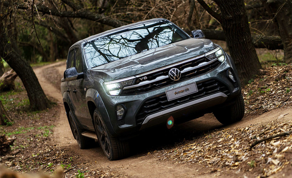 amarok experto