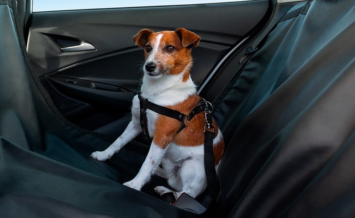 OnStar Pets