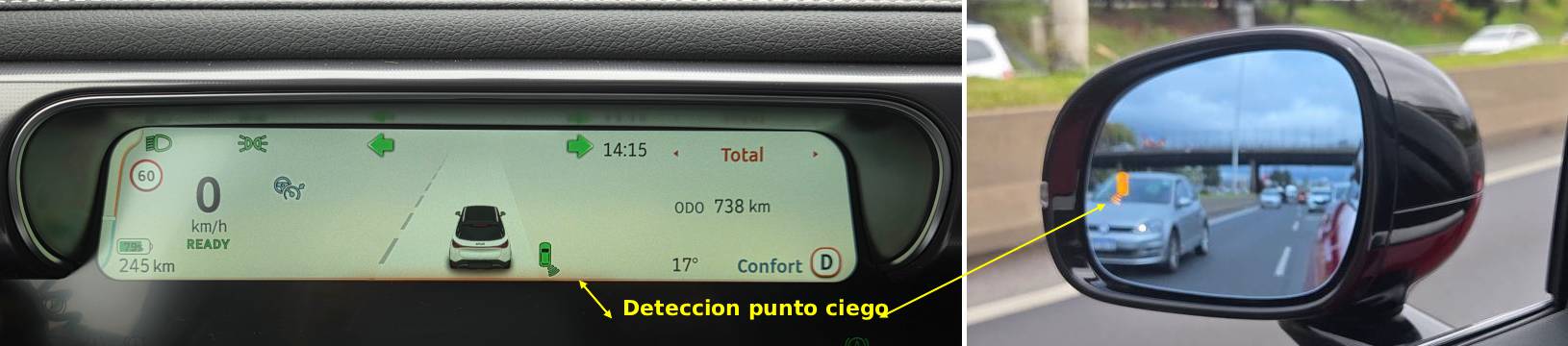 ciego